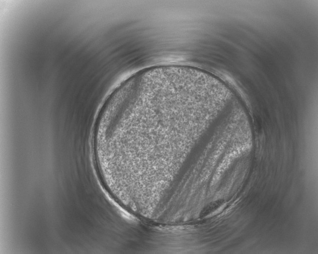 X0000055971432200509162147