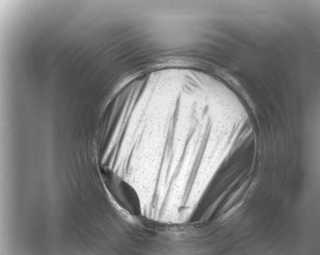 X0000055971433200509162147