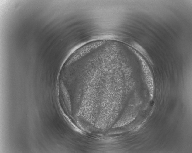 X0000055971436200509162147