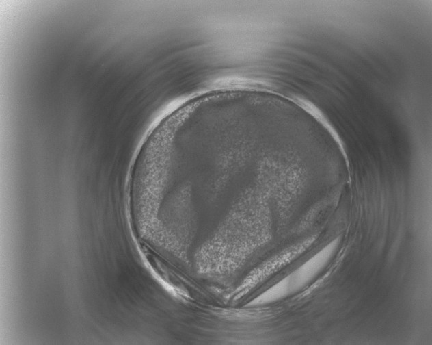 X0000055971437200509162147