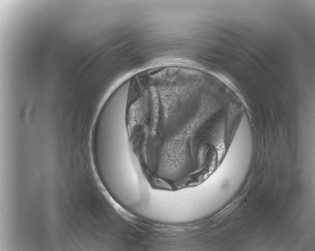 X0000055971438200509162147