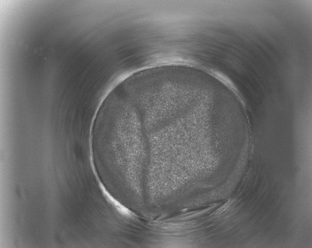 X0000055971439200509162147