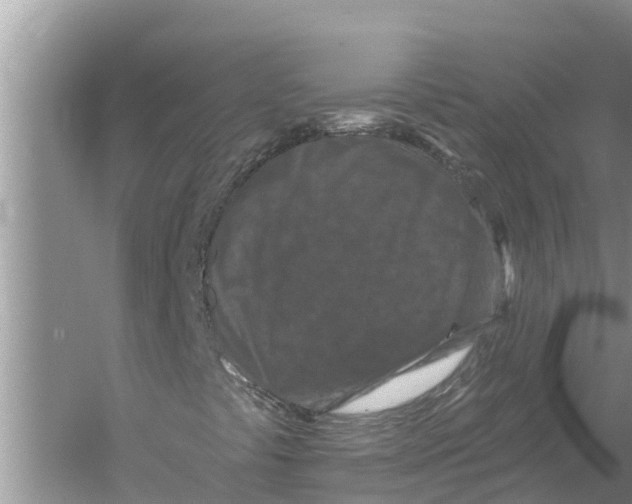 X0000055971441200509162146