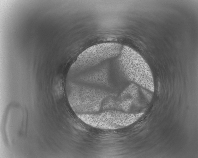 X0000055971442200509162146