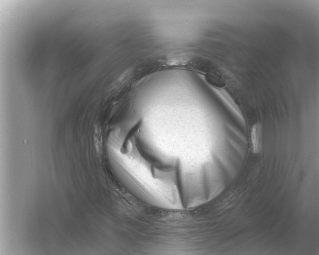 X0000055971443200509162146