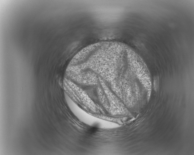 X0000055971444200509162146