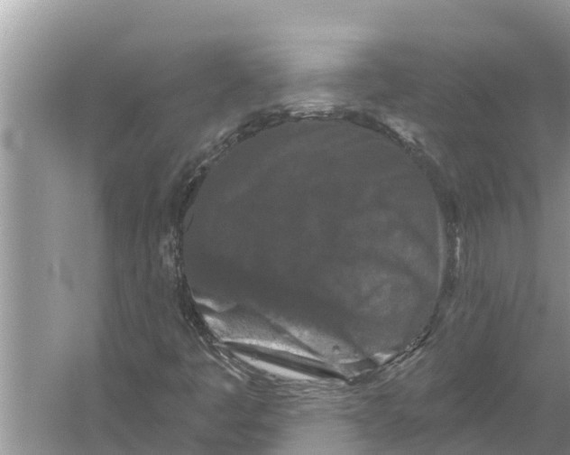 X0000055971445200509162146