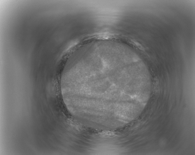 X0000055971446200509162146