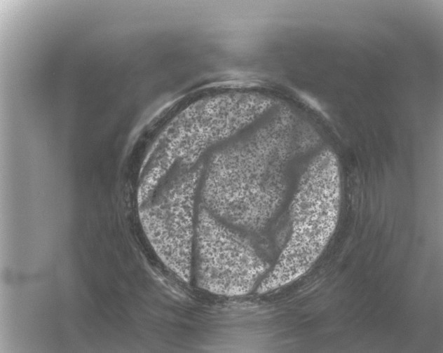 X0000055971448200509162146