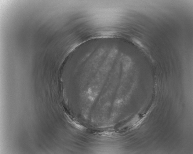 X0000055971449200509162146