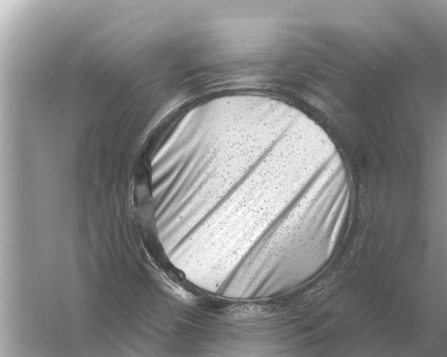 X0000055971450200509162146