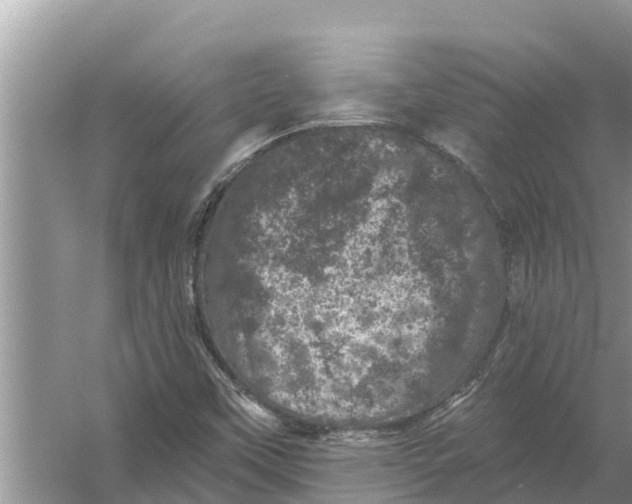 X0000055971451200509162146