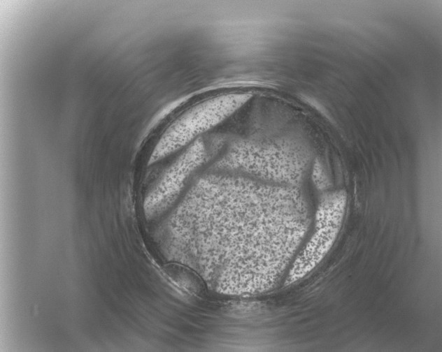 X0000055971452200509162146