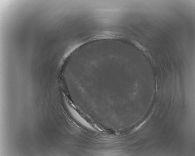 X0000055971453200509162146