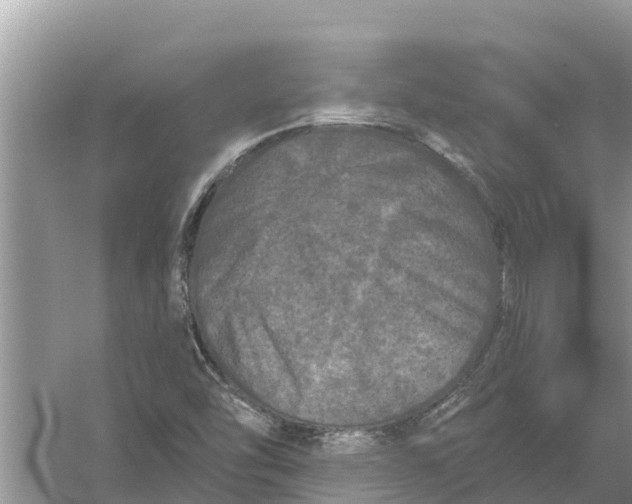 X0000055971454200509162146