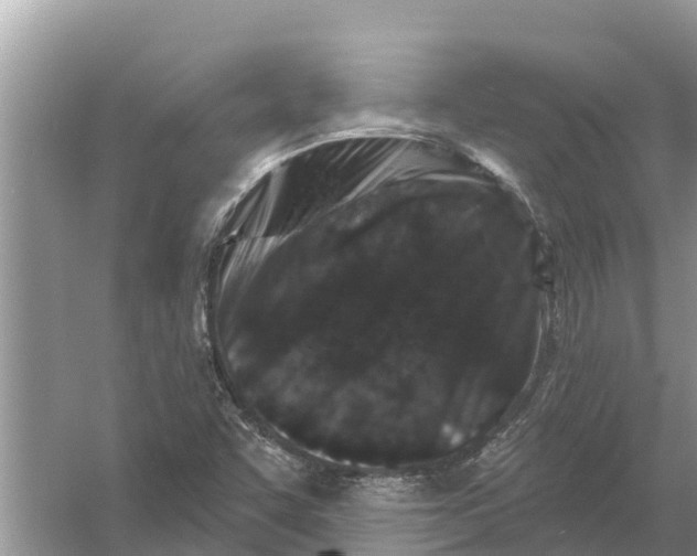 X0000055971455200509162146