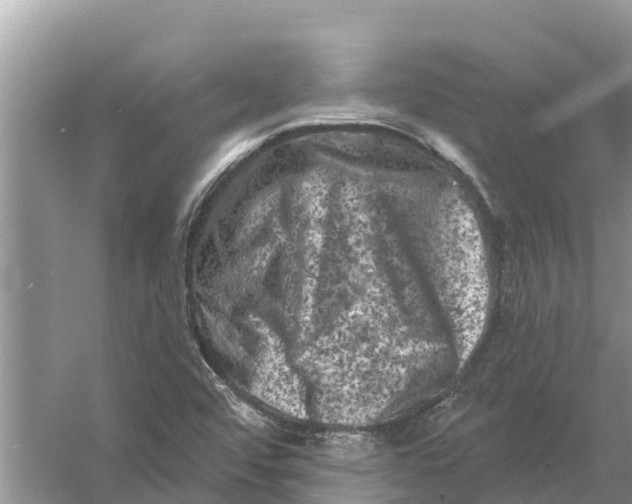 X0000055971456200509162146