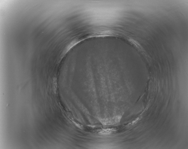 X0000055971457200509162146