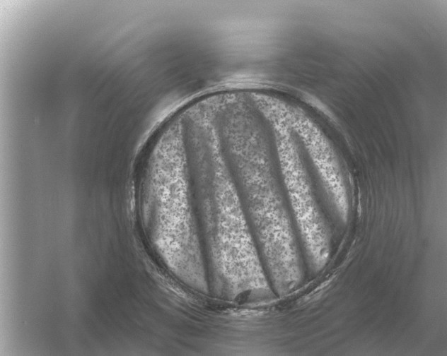 X0000055971461200509162146