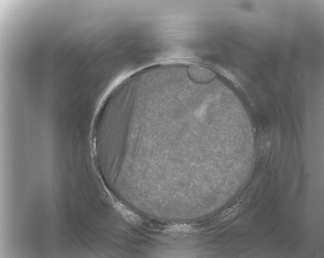 X0000055971462200509162146