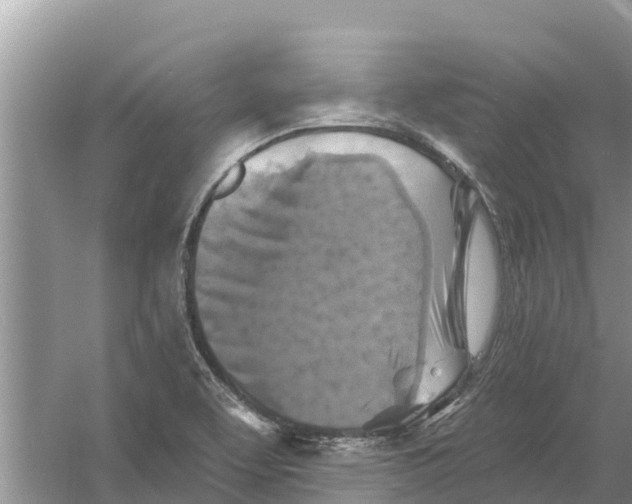 X0000055971463200509162146