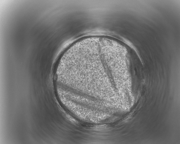 X0000055971464200509162146