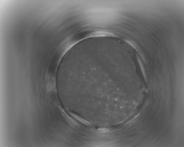 X0000055971465200509162146