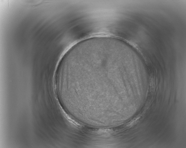 X0000055971466200509162146