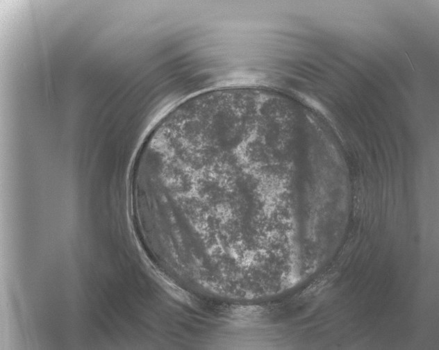 X0000055971467200509162146