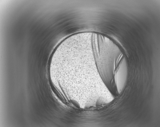 X0000055971468200509162146