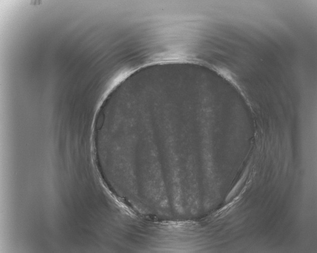 X0000055971469200509162146