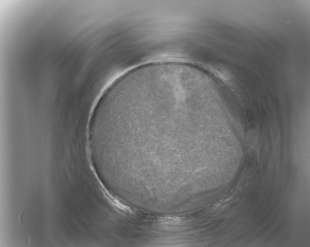 X0000055971470200509162146