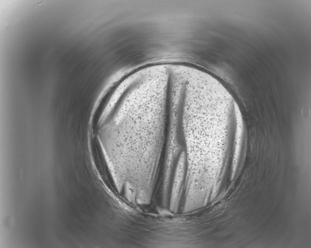 X0000055971472200509162145