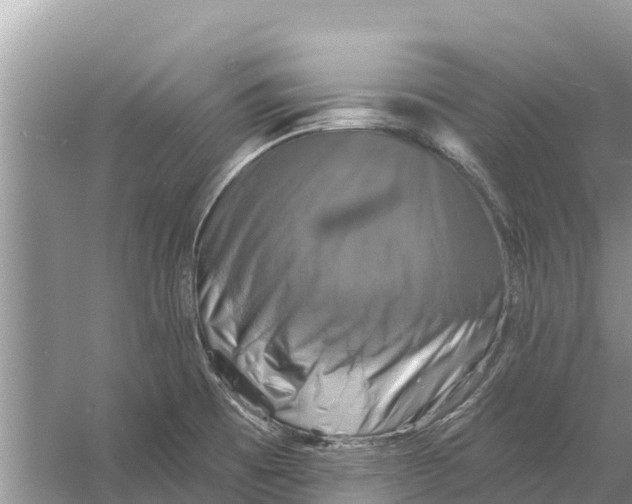 X0000055971473200509162145