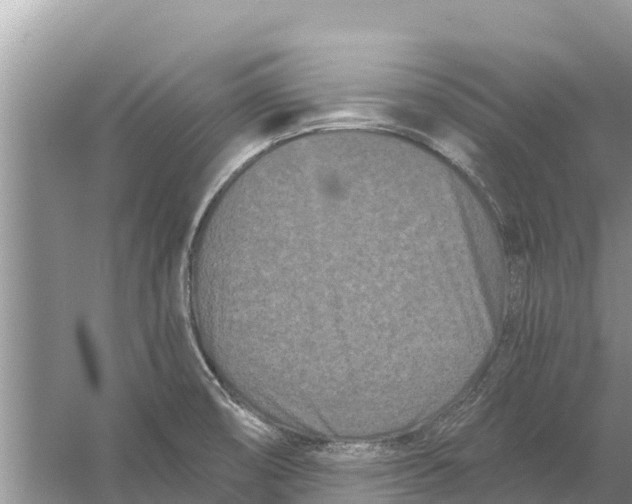 X0000055971474200509162145