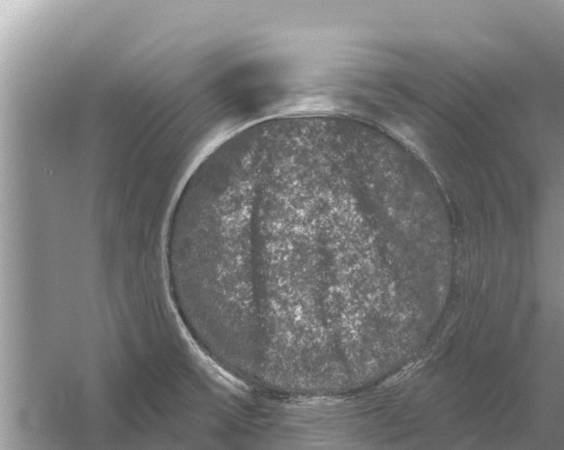 X0000055971475200509162145