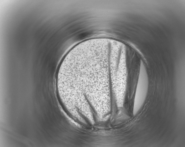 X0000055971476200509162145