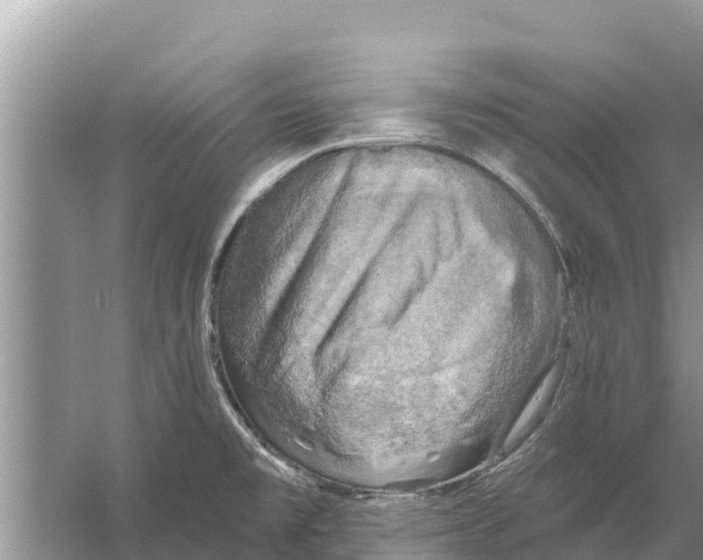 X0000055971477200509162145