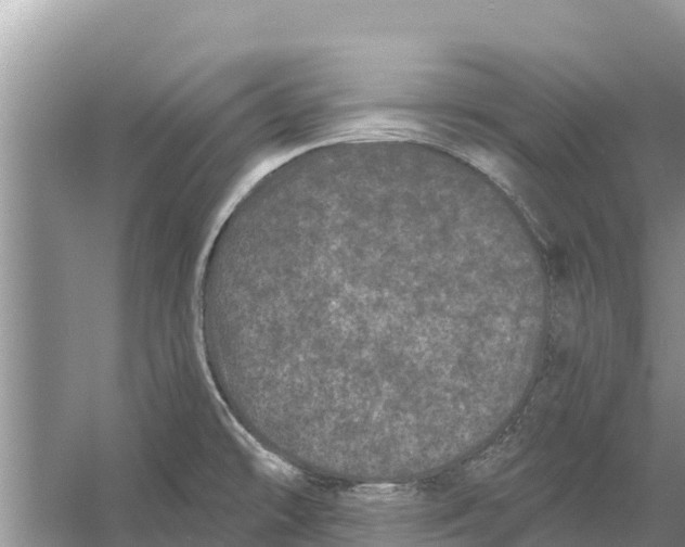 X0000055971478200509162145