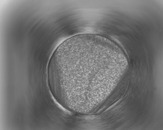 X0000055971479200509162145