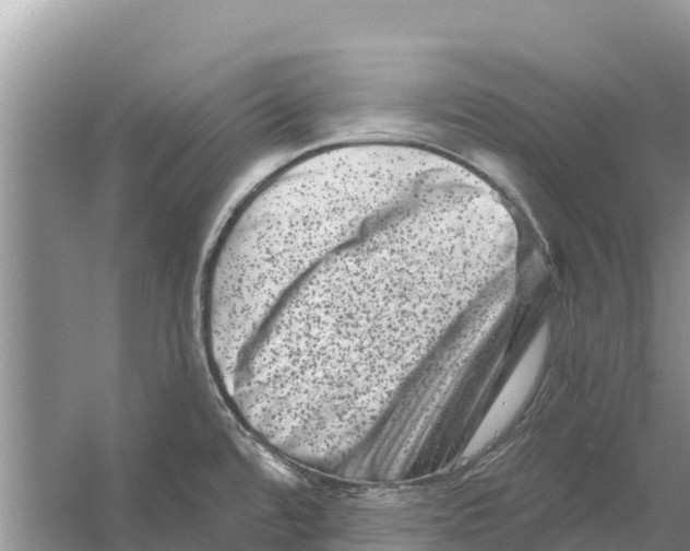 X0000055971480200509162145