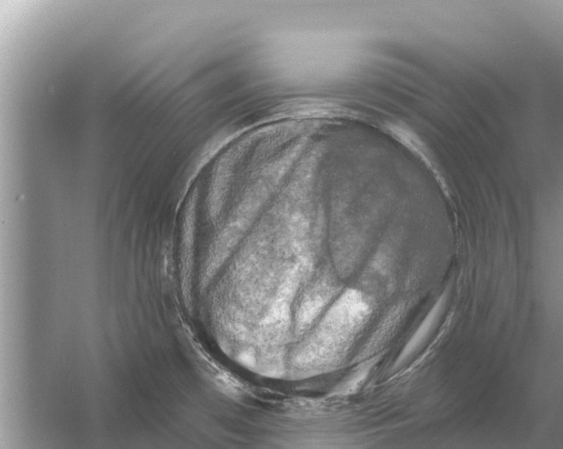 X0000055971481200509162145