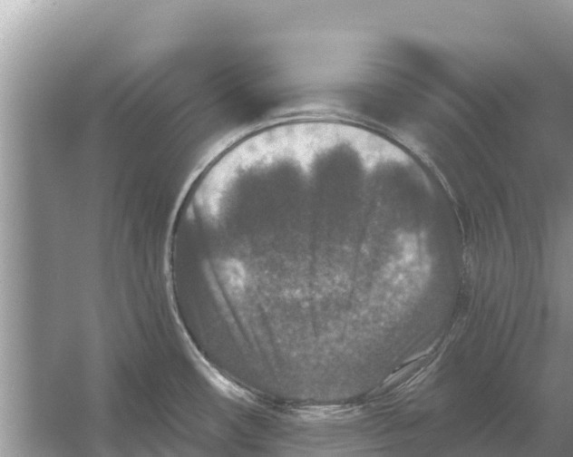 X0000055971482200509162145