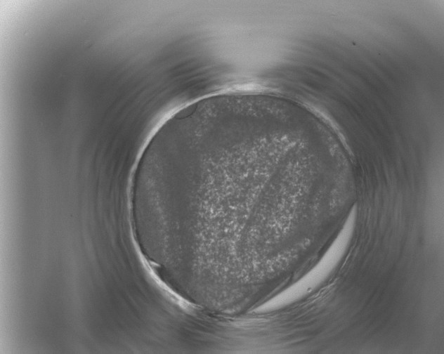 X0000055971483200509162145