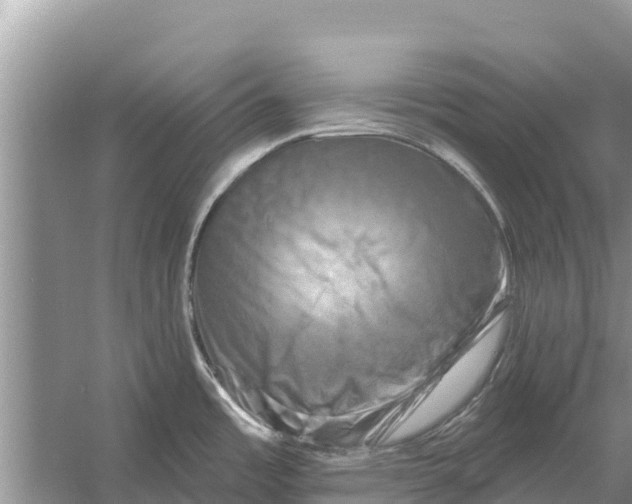 X0000055971485200509162145