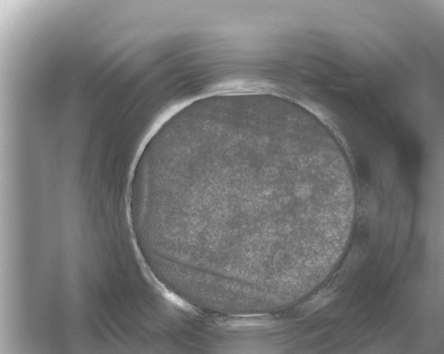 X0000055971486200509162145