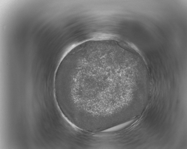 X0000055971487200509162145