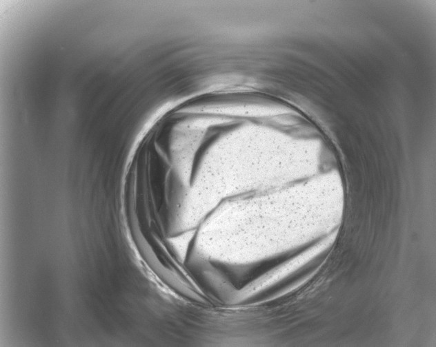 X0000055971488200509162145