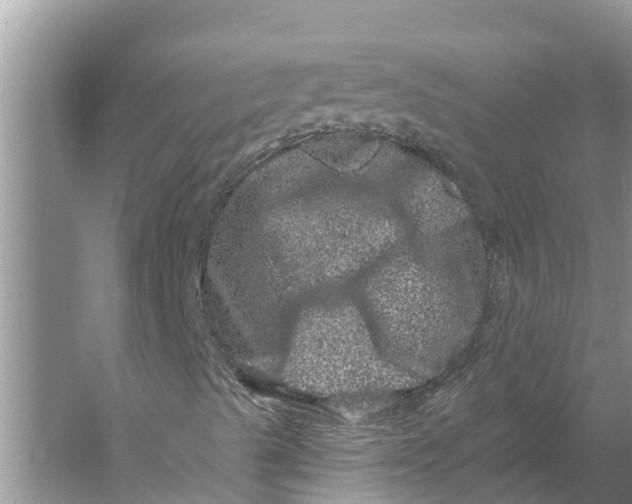 X0000055971489200509162144