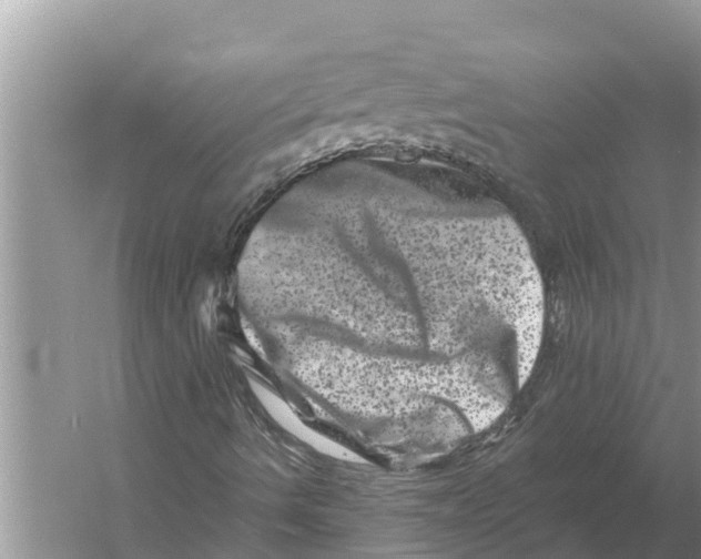 X0000055971490200509162144